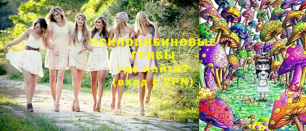 индика Сафоново